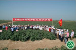 國家棉花產(chǎn)業(yè)聯(lián)盟阿克蘇地區(qū)高品質(zhì)棉花品種觀摩會(huì)在新疆阿克蘇召開